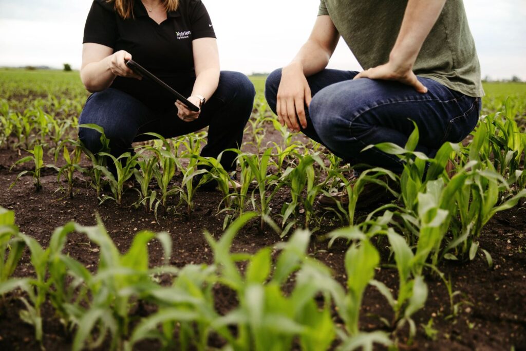 Farmers in a field