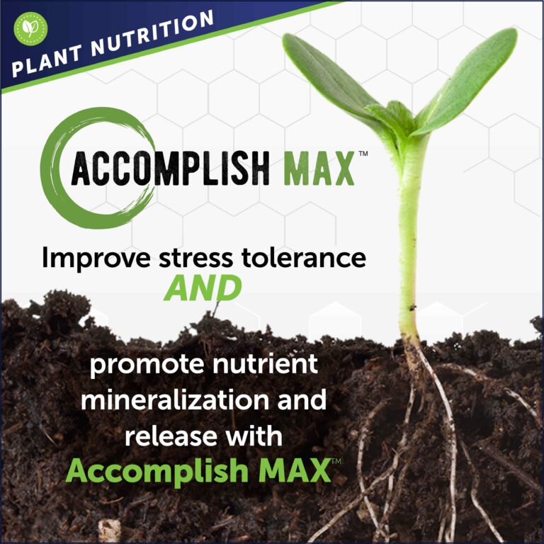 Sprout growing from the ground with Accomplish Max bulletin information.